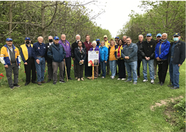 MLC at Carman Lewis Park Tulip unveiling