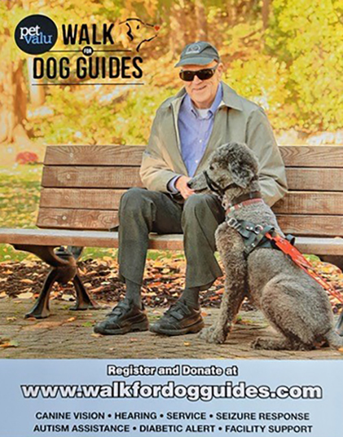 Walk for Dog Guides