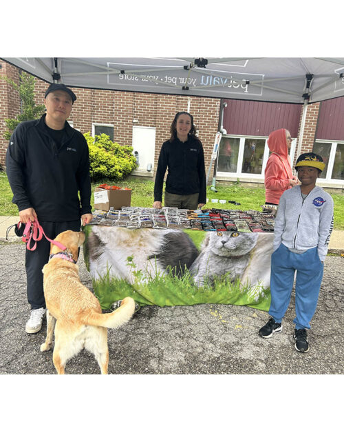 Walk for Dog Guides 2024