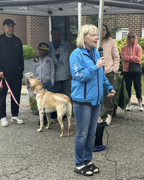 Walk for Dog Guides 2024
