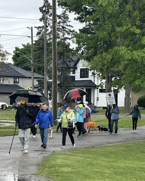 Walk for Dog Guides 2024