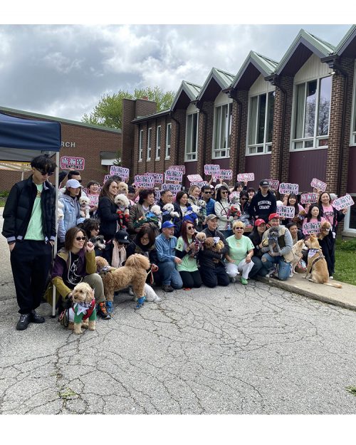 Walk for Dog Guides, 2025