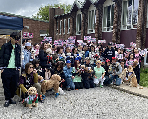 Walk for Dog Guides, 2025