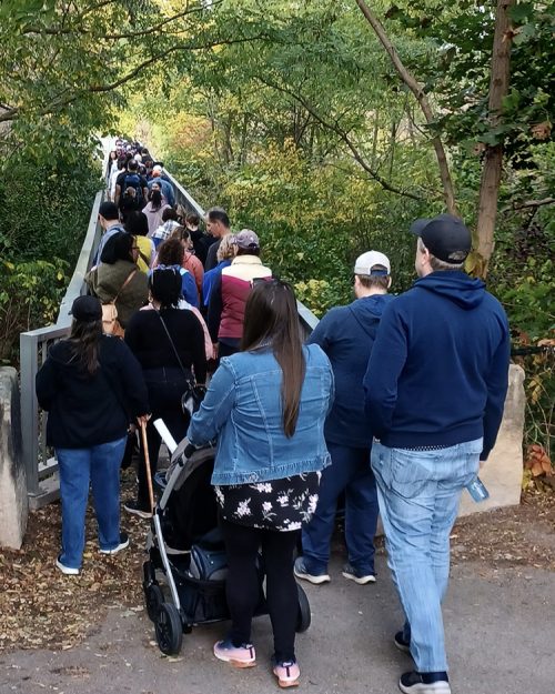 Walk for Diabetes 2025