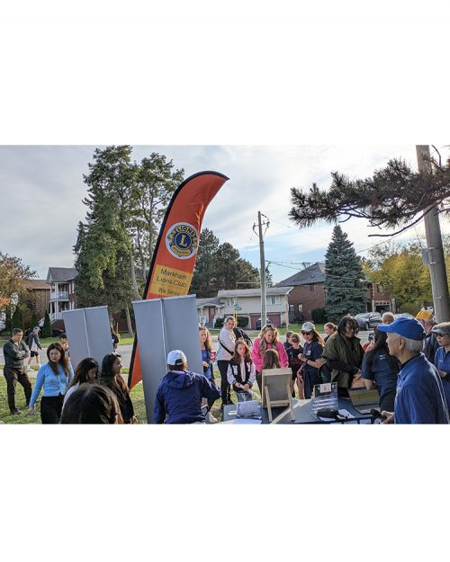 Walk for Diabetes 2025