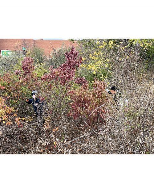 Mount Joy Park Cleanup-2025