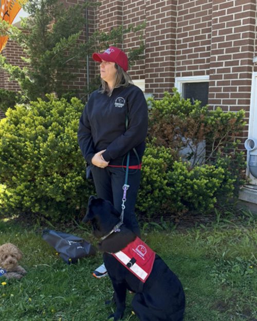 Pet Value Walk for Dog Guides 2026