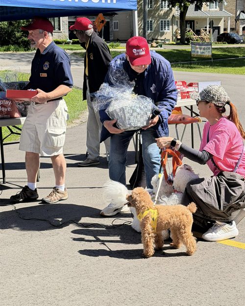 Pet Value Walk for Dog Guides 2026