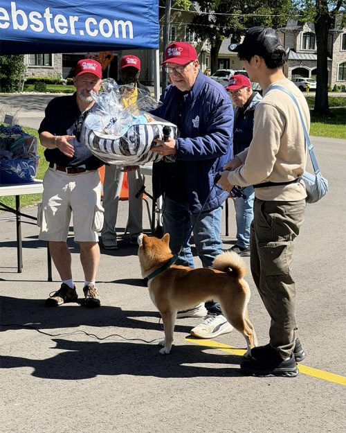 Pet Value Walk for Dog Guides 2026