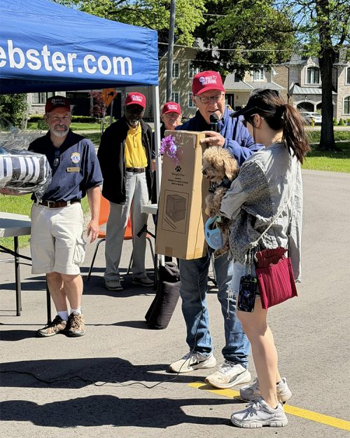 Pet Value Walk for Dog Guides 2026